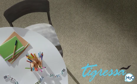 Tigressa Carpet Sample room